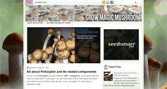 Desktop Screenshot of growmagicmushroom.com